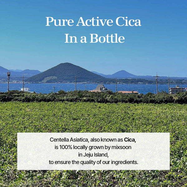 Mixsoon Soondy Centella Asiatica Essence 100Ml