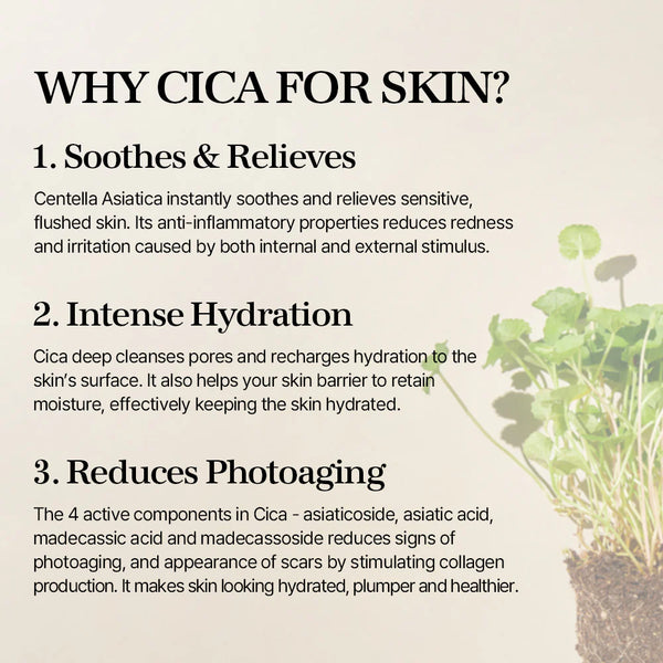 Mixsoon Soondy Centella Asiatica Essence 100Ml